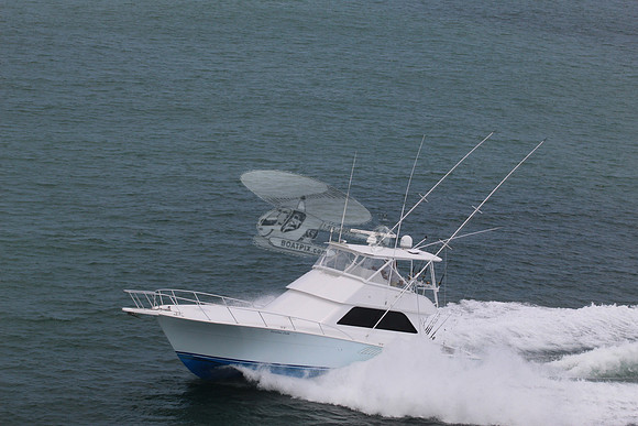 Carolina Lady.beaufort.01