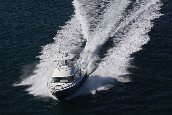 fin and tonic.ocean ridge.65
