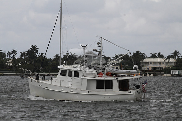BAY PELICAN.FL7311.....05