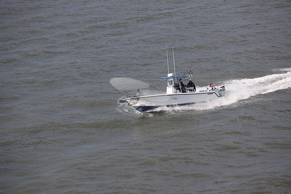 DL0011Y.1