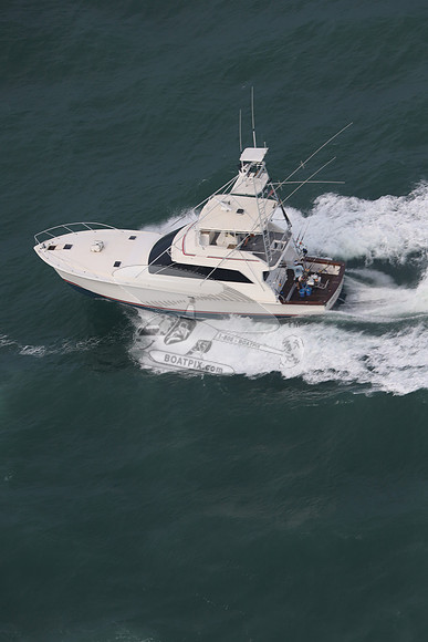 American Lady.11 (2)