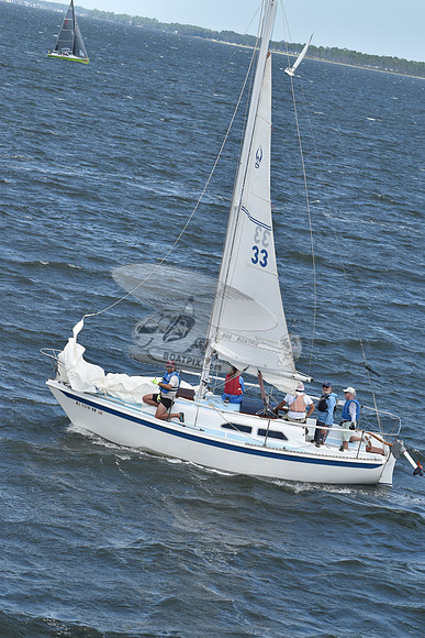 33.al1114hn.zig zag.2345