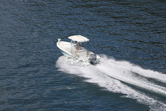 everglades.223 cc.6790