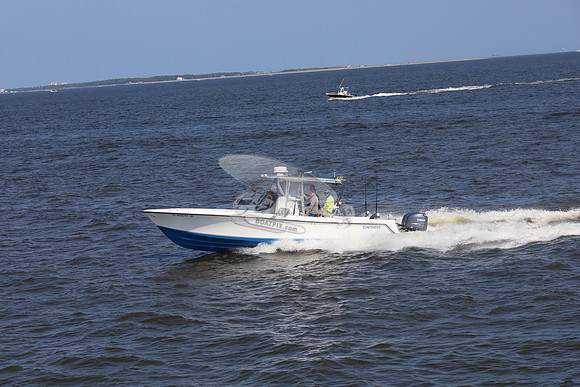 al0065rf.14