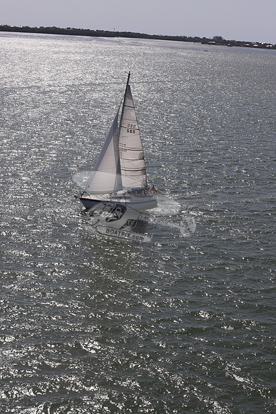 585.MS M..FL9900SM.19