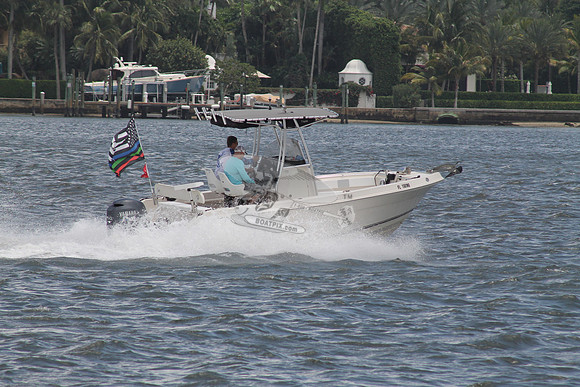 FL1981NR.11