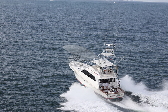 american lady.ocean view de.2194