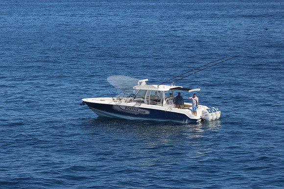boston whaler.blue hull.3 merc 400.6208