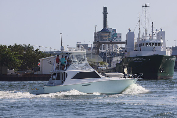 BELLA BLUE.STUART FL.6