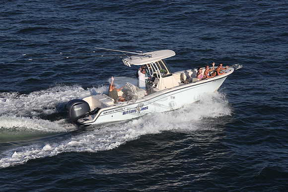 dl8276an.nittony lines.9474