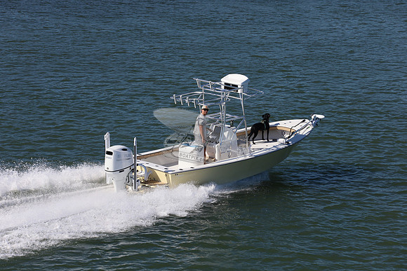 FL0215CV.1