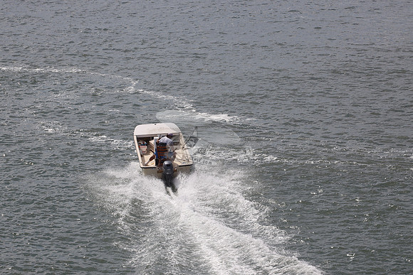 CAROLINA SKIFF.MD5158DG MAYBE.01