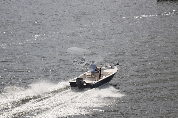cobia.black.yamaha.01