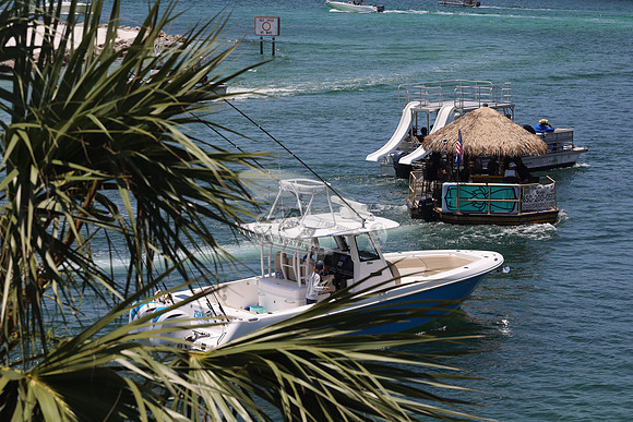 7 shark.ddestin.1