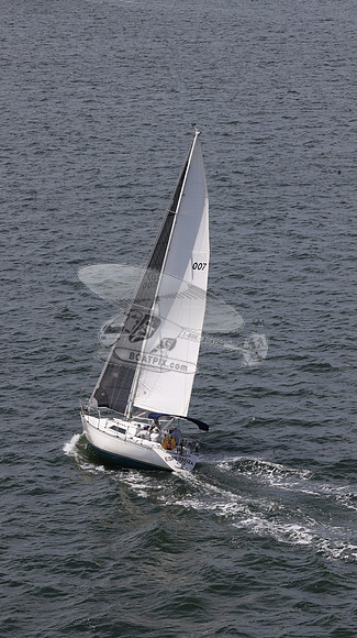 007.FL7887LT.03