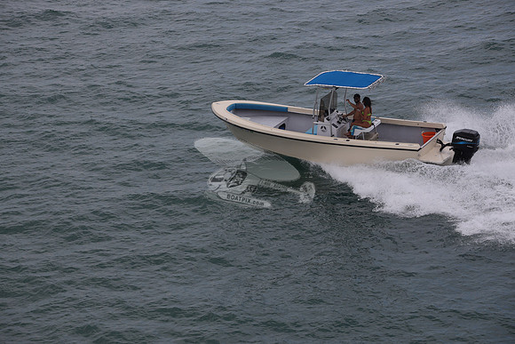 fl1726lv.11