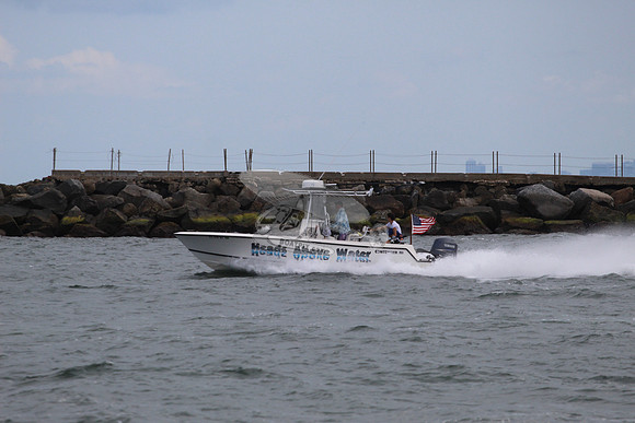 FL3131MJ.HEADS ABOVE WATER.06