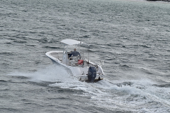 fl0989tm.02