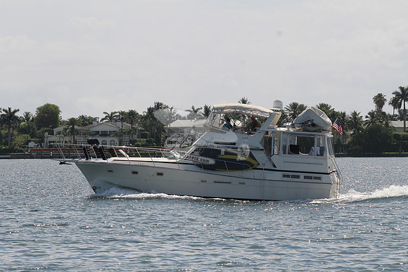 BEL DI.VIKING.6