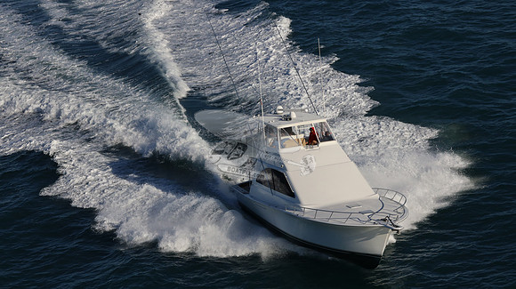 BARONESS.43