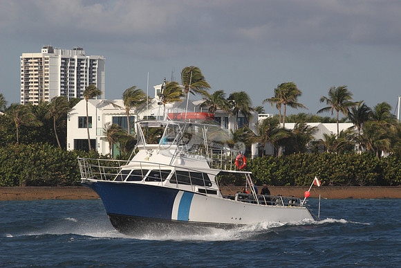 aurelia.singer island.02