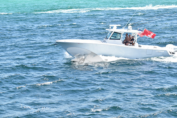 FL1222TA.4 (2)