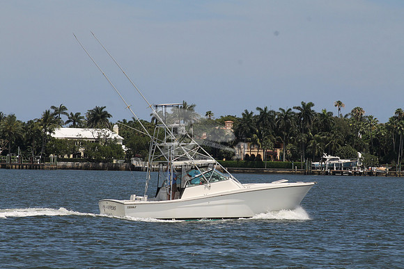 FISH HAPPENS.LANTANA FL.TOPAZ.13