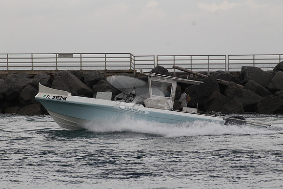 FL0352HK.4306