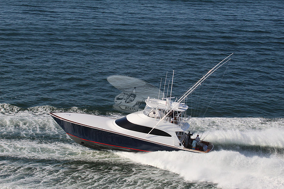 Blue Viking.3
