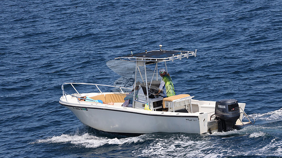 FL0253DE.06