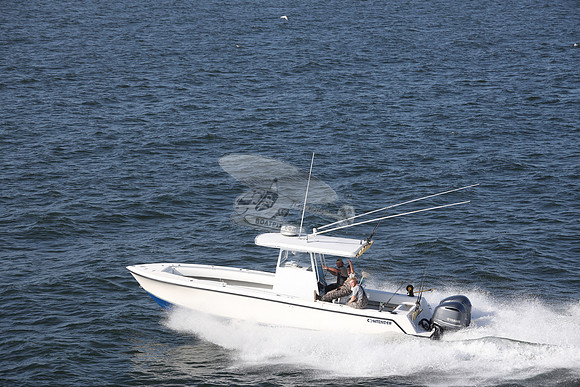 CONTENDER.2YAMAHA.1505