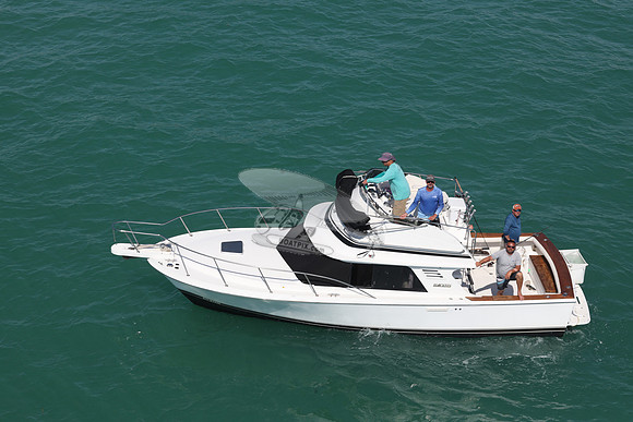 BLACKFIN.1