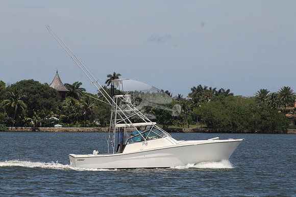 FISH HAPPENS.LANTANA FL.TOPAZ.10