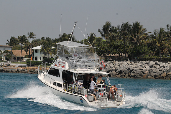 DIVOCEAN.JUPITER FL.7