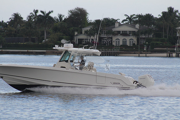 BOSTON WHALER.08