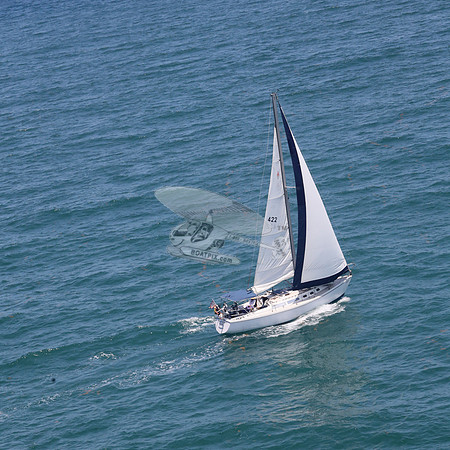 422.FL8313SN..SPIRIT OF THE WIND.14