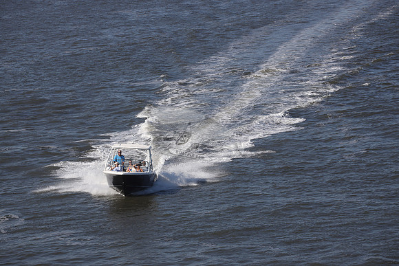 NJ1489HR.SEA BONSTER.01