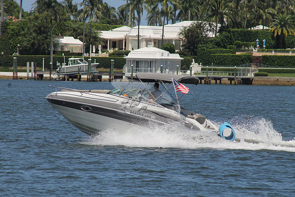 CROWNLINE.GRAY WHITE.12