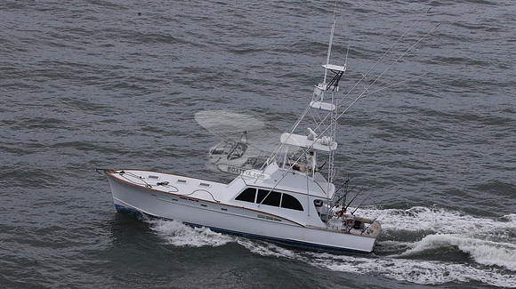 ballie who iii.islamorada fl.9509