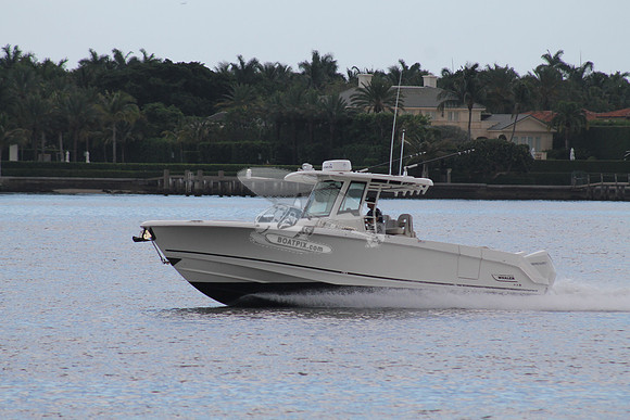 BOSTON WHALER.02