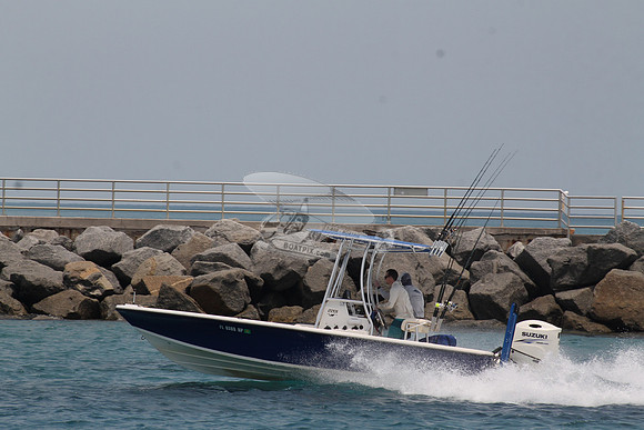 FL0398NP.406