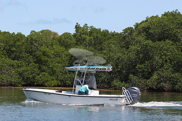 fl4339.privateer.0359