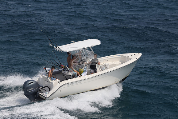COBIA.WHITE.03