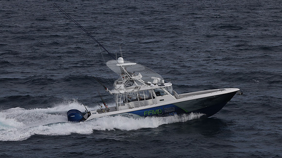 FFMD.EVERGLADES.4 YAMAHA BLUE.2826