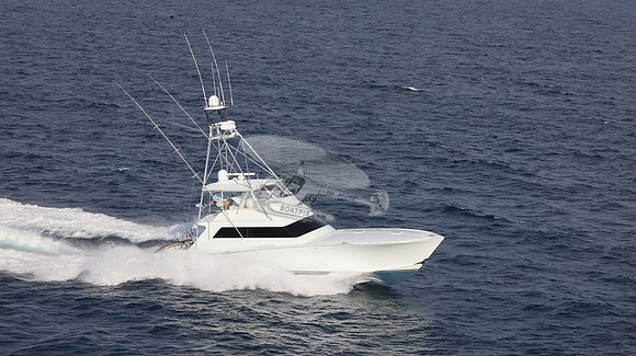 CHASIN TAIL.SINGER ISLAND.2958