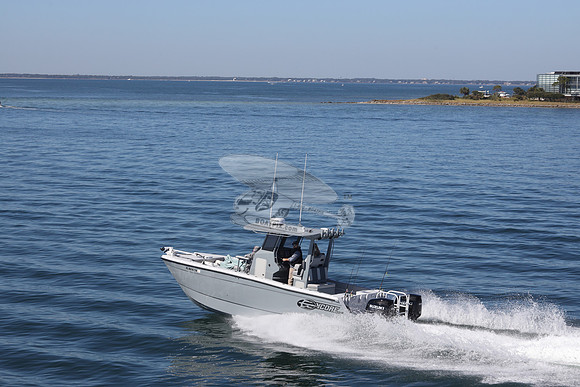 FL8410TH.06