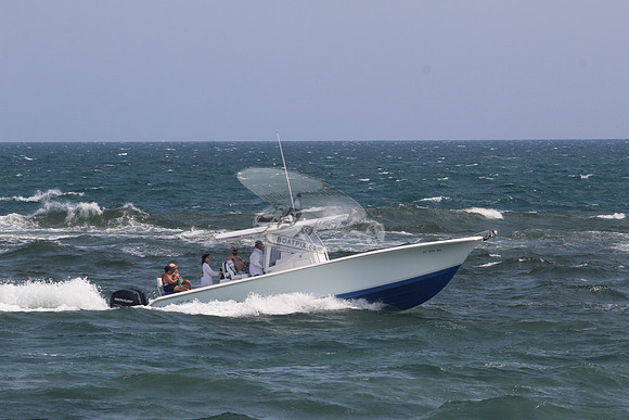 FL1133NA.41