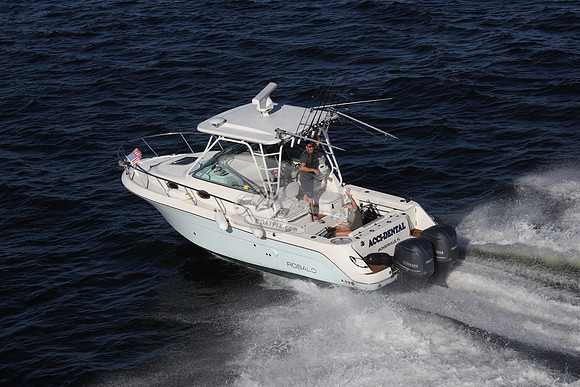 ACCI-DENTAL.JAX FL.ROBALO.07