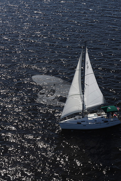 00000.fl8253sx.5336
