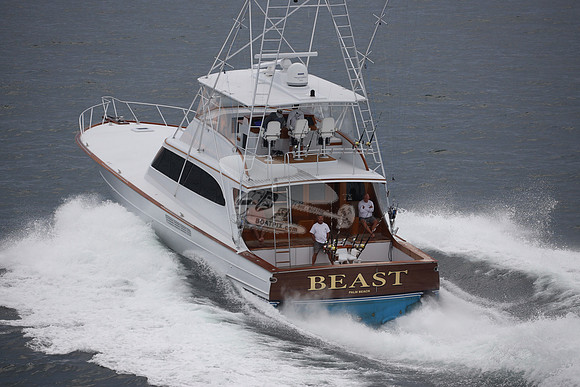 Beast.palm beach.02